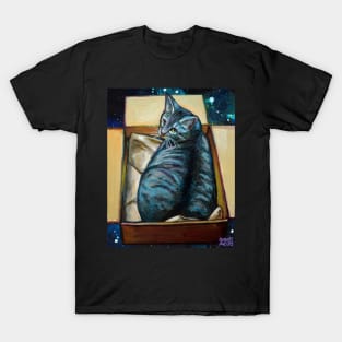 Cozy Cosmic Cat in a Box T-Shirt